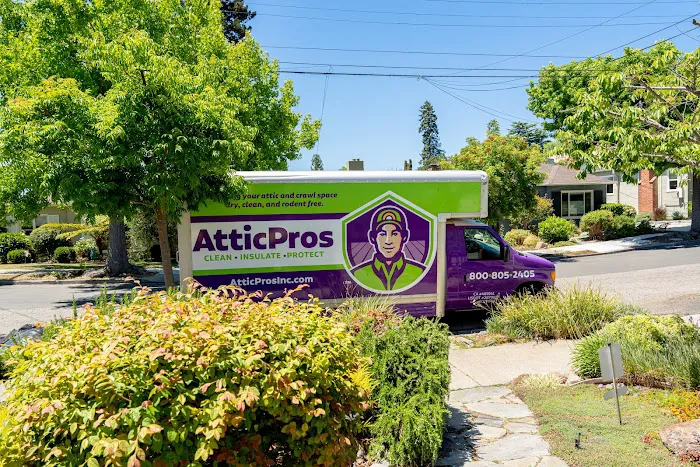 Attic Pros Picture 6
