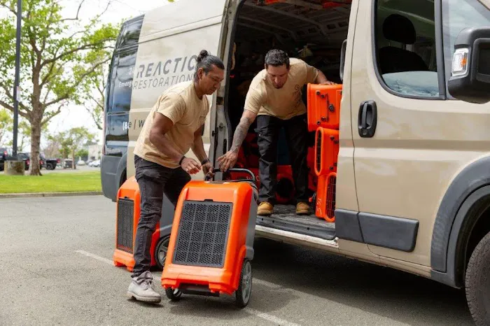 Reactic Restoration Picture 8