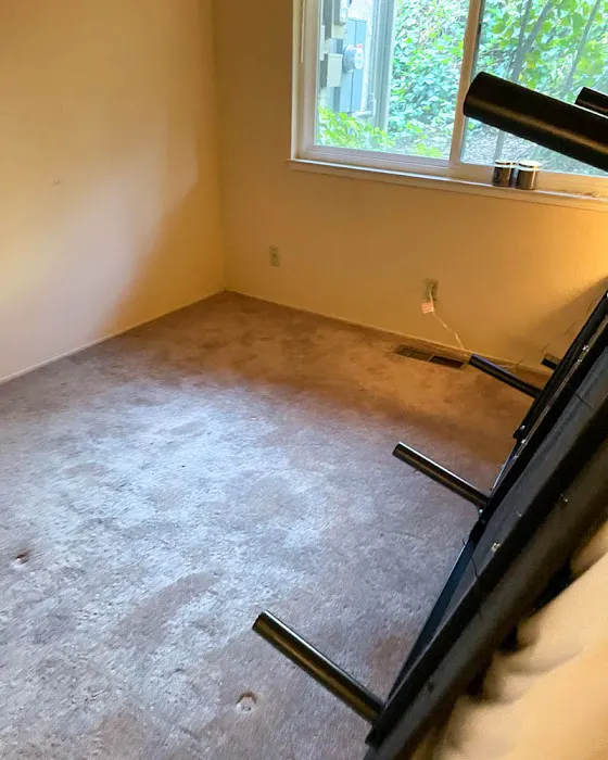 SERVPRO of Campbell Picture 3