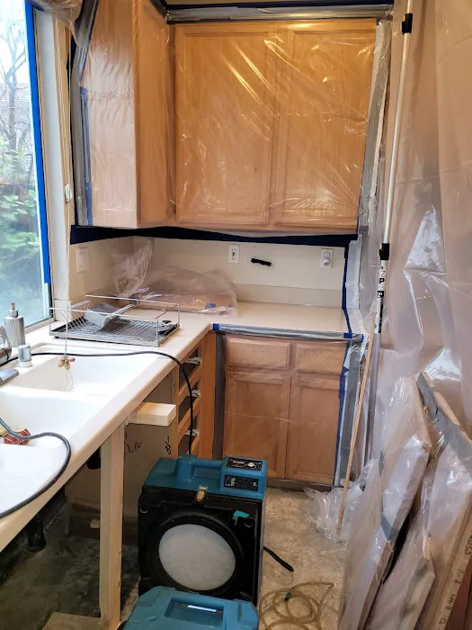 ZGREEN Restoration Picture 7