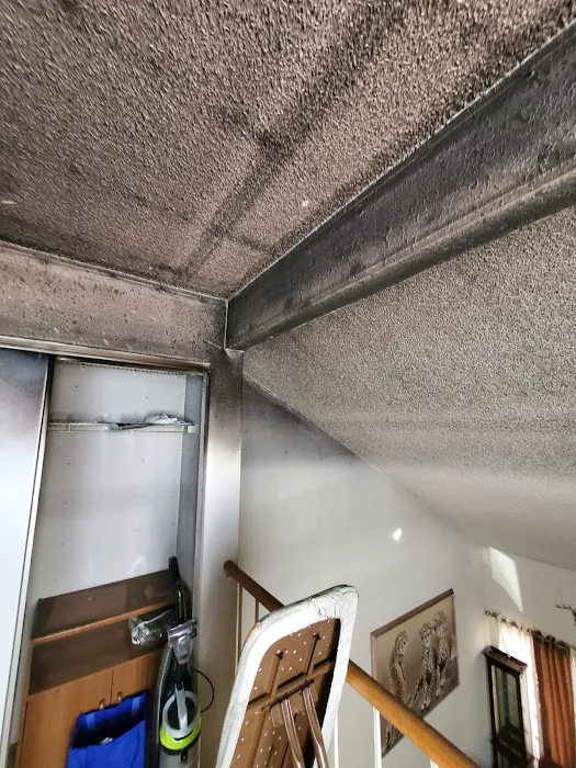 ZGREEN Restoration Picture 10