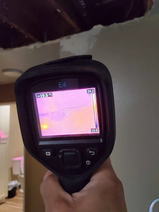 ZGREEN Restoration Picture 3