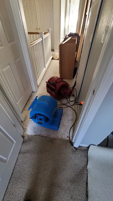 ZGREEN Restoration Picture 2