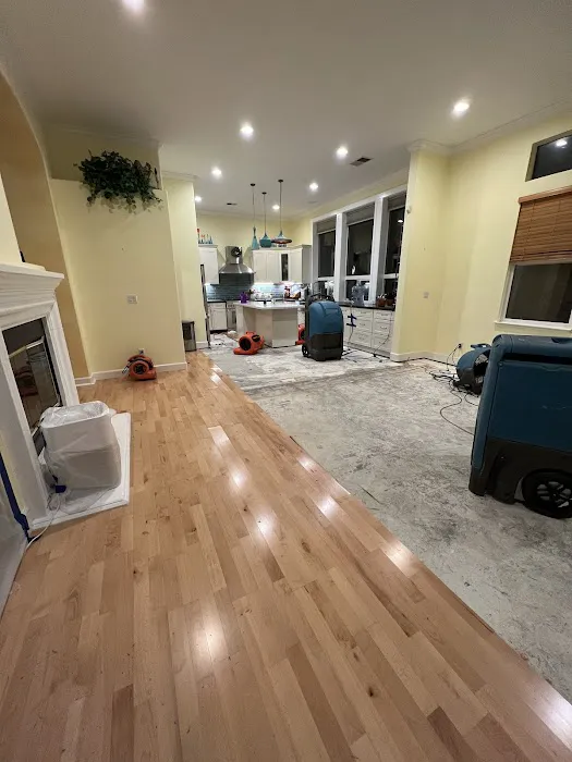 Reactic Restoration Picture 5