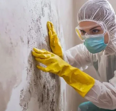 ENVIRONMENTAL RESTORATION SERVICES INCORPORATED Picture 3