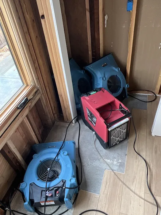 Dansel Inc. Picture 4