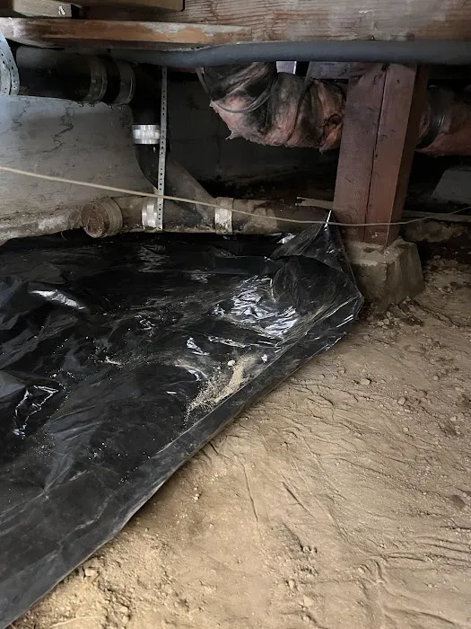 Dansel Inc. Picture 5