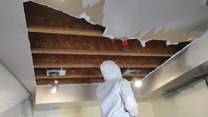 Dansel Inc. Picture 3