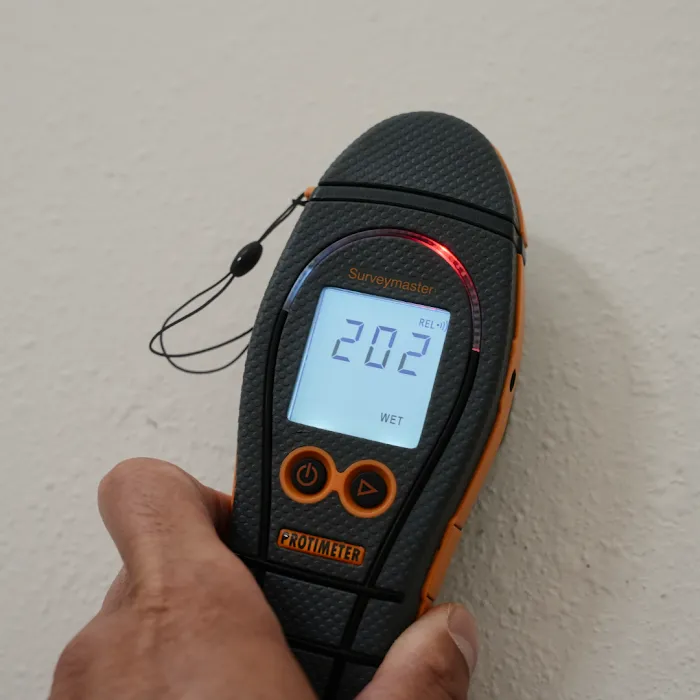 Dansel Inc. Picture 9