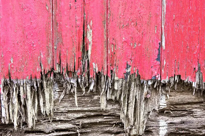 Calsystem Restoration Services Inc. Picture 9