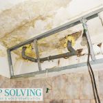 Damp Solving Water & Mold