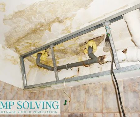 Damp Solving Water & Mold