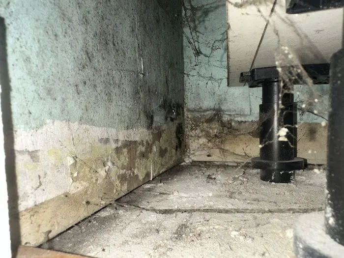 Hydro Hero Restoration Oakland Picture 8