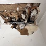 Hydro Hero Restoration Oakland