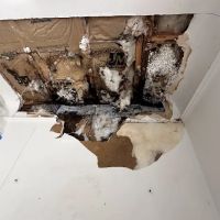 Hydro Hero Restoration Oakland ico