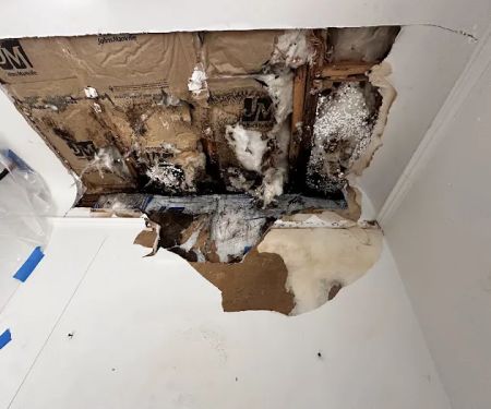 Hydro Hero Restoration Oakland