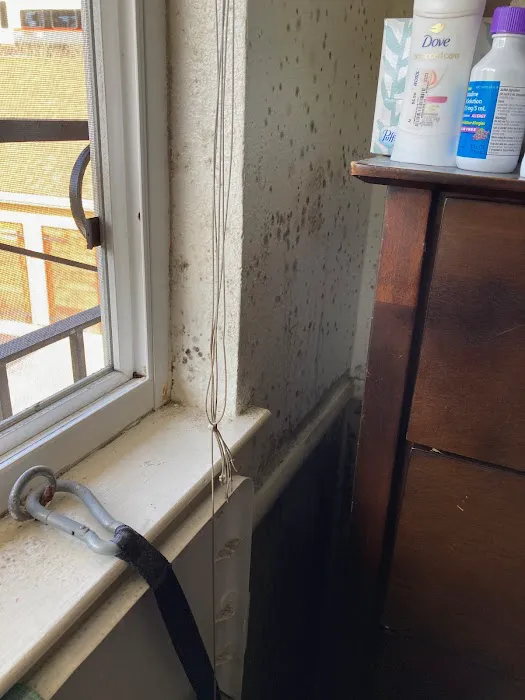 Hydro Hero Restoration Oakland Picture 2