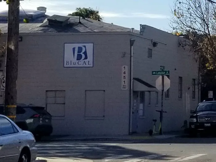 BluCAL - Water/Fire Damage Restoration Company Picture 1