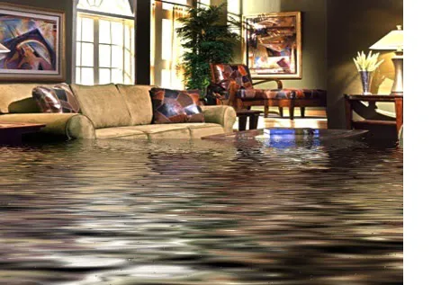 Bears Restoration Picture 1