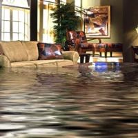 Bears Restoration ico