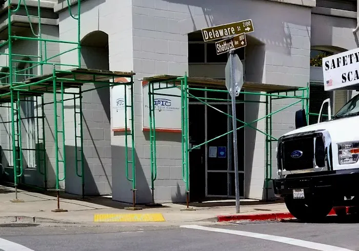 Bears Restoration Picture 3