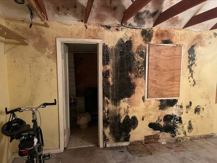 Swift Restoration Picture 4