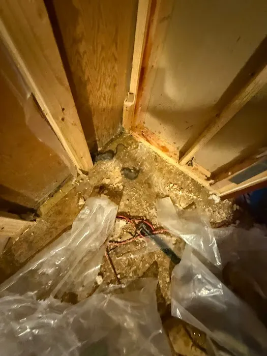 Swift Restoration Picture 6