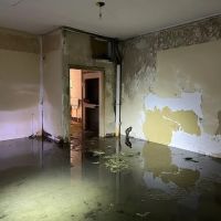 All Things Good Water Damage ico