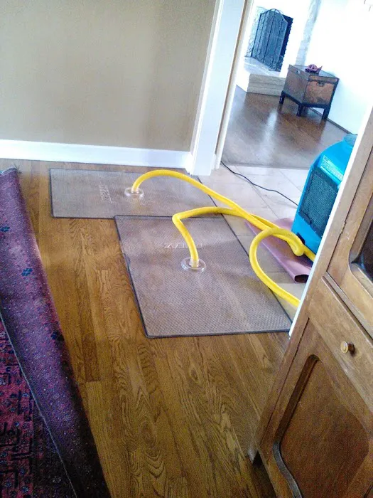 The Water Damage Experts, Incorporated Picture 10