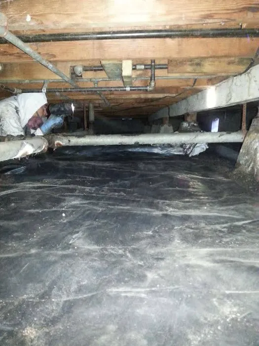 The Water Damage Experts, Incorporated Picture 7