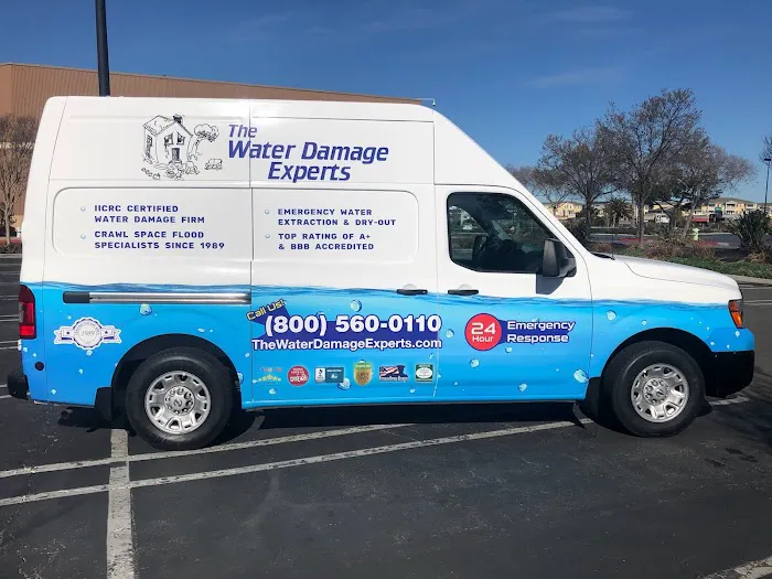 The Water Damage Experts, Incorporated Picture 4