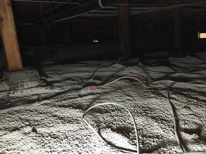 The Water Damage Experts, Incorporated Picture 5