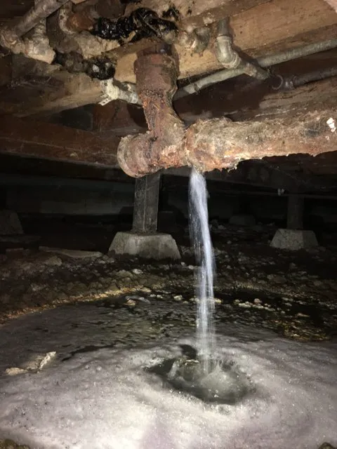 The Water Damage Experts, Incorporated Picture 6