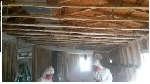 Attic Insulation Patrol Picture 5