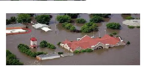 Attic Insulation Patrol Picture 1