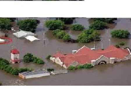 Attic Insulation Patrol