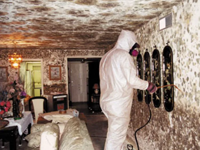 Attic Insulation Patrol Picture 4