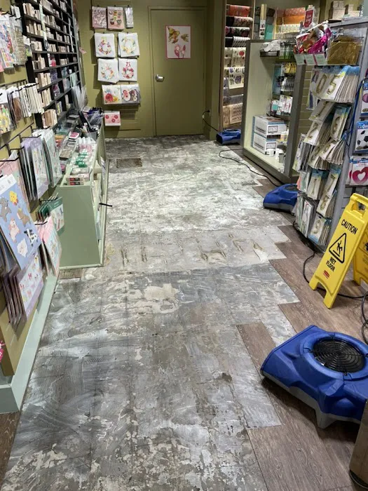 Premier Pro Picture 10