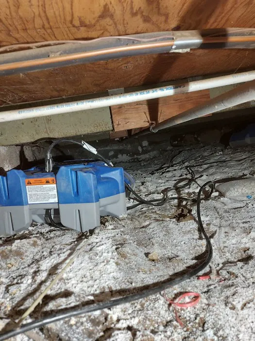 Premier Pro Picture 9