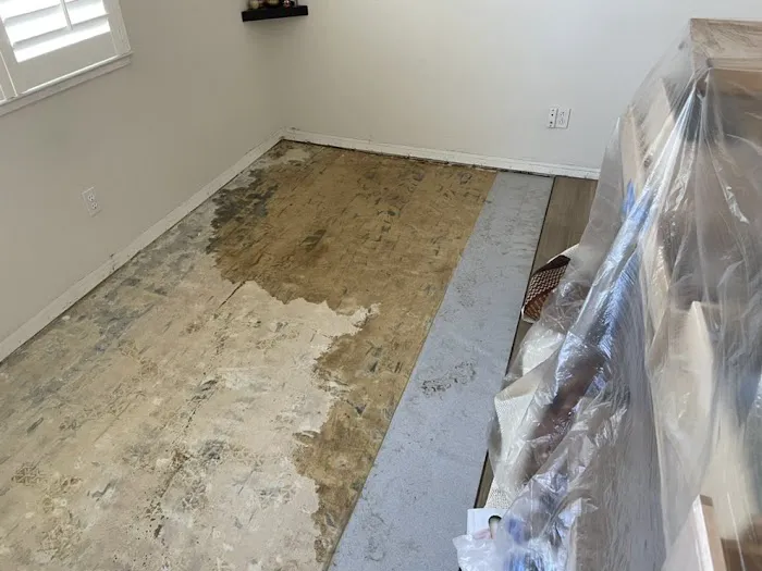 Premier Pro Picture 5