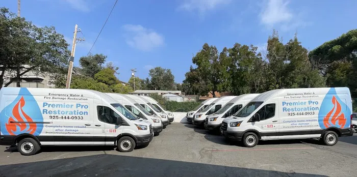 Premier Pro Picture 1