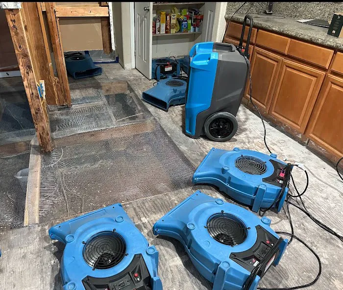 First Call Restoration Picture 7