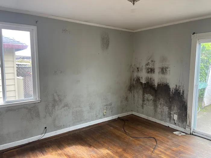 First Call Restoration Picture 5