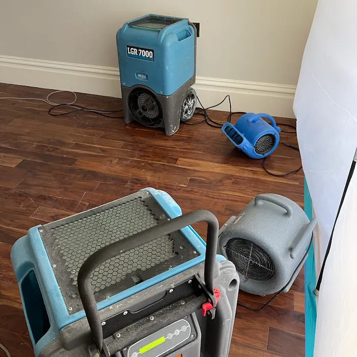 Swift Restoration Picture 8