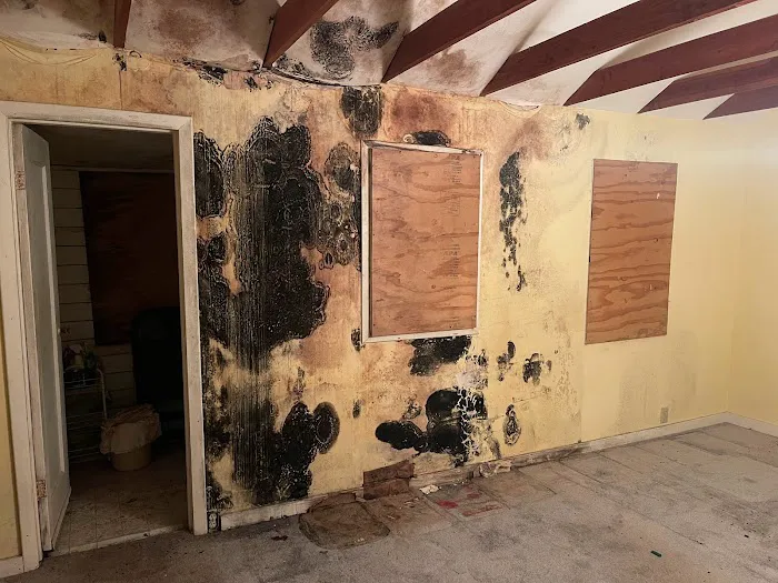 Swift Restoration Picture 3