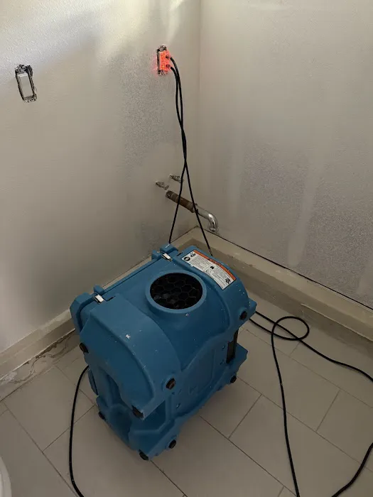 Swift Restoration Picture 7