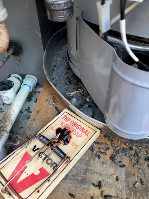 Emergency Restoration Company Picture 2