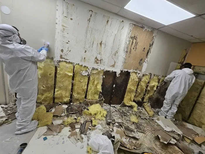 A2Z Restoration Picture 6