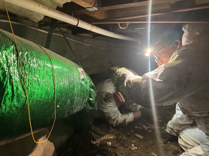 DRYmedic Restoration Services of East Bay Picture 9