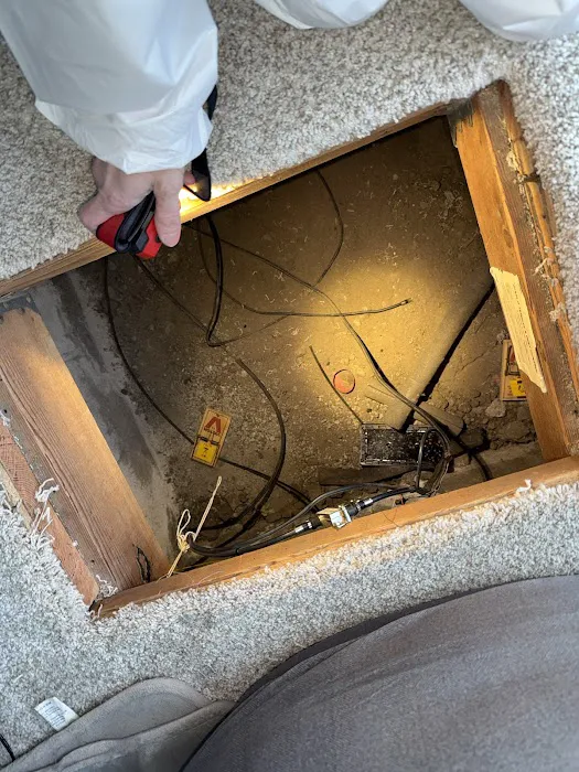 DRYmedic Restoration Services of East Bay Picture 6